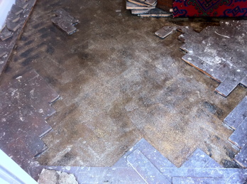 Columbian Pine Parquet Flooring Repaired